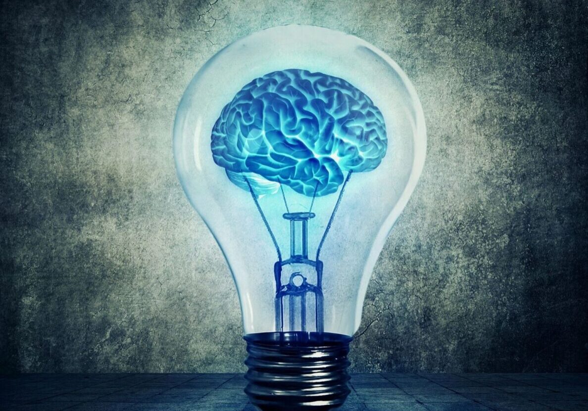 Brain in bulb